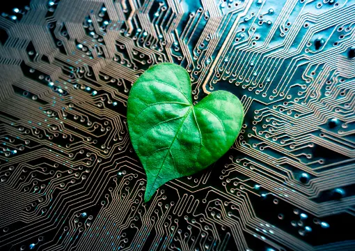 乐动体育app案例